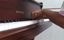 斯卡拉蒂C大调奏鸣曲-嘉德威钢琴教育
